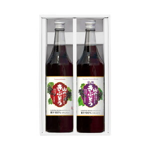 K J36MtgZbg (2̎R̂ԂǂW[X 600ml e1{)