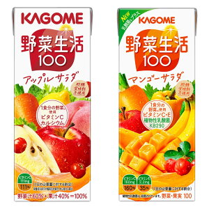 Zbgi[2CS]JS ؐ100(AbvT_200ml×}S[T_200ml)×e24{