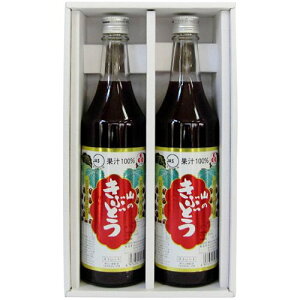 K #35MtgZbg (ʏ`100%ԂǂW[X 600ml×2{)