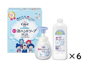 【6箱】ビオレU 泡ハンドソープ ギフトセット (ポンプ250ml&つめかえ380ml)　セット つめ替え 詰め替え ハンドソープ 泡 弱酸性 殺菌 消毒 薬用 旧パッケージ ギフト 引っ越し 挨拶 お返し 花王