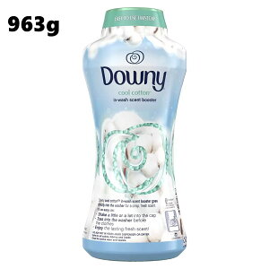 _Ej[ N[Rbg r[Y 963g@tr[Y Âr[Y r[X r[Y t Â Downy ߗp u[X^[ e  tp ߗނ̍t   