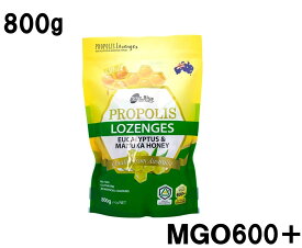 マヌカハニー配合 プロポリスキャンディー 800g MGO600＋ のど飴 キャンディ 飴 はちみつ 蜂蜜 マヌカハニーキャンディー オーストラリア ユーカリオイル ドロップ キャンディ ミント