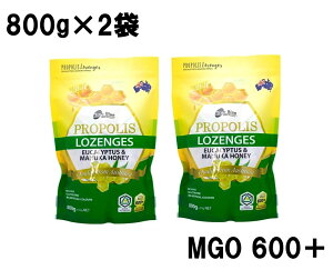 y2܁z}kJnj[z v|XLfB[ 800g MGO 600 + ̂ǈ LfB  ݂͂ I }kJnj[LfB[ I[XgA [JIC hbv LfB ~g