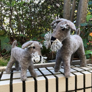  hbO ʂ IuWF u ViEU[ eq tFg E[ 킢  lp[ nhCh tFAg[h v[g Mtg AXELJAPAN ANZWp