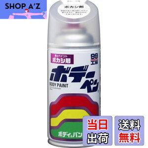 yz\tg99(SOFT99) 99H[ CyCg {f[y {JV 300ml ԃ{fBAop[AA؍ 08004