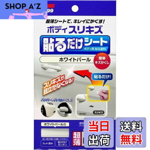 yz\tg99(SOFT99) CyCg {fB\邾V[g zCgp[ ԃ{fBAop[p 02102