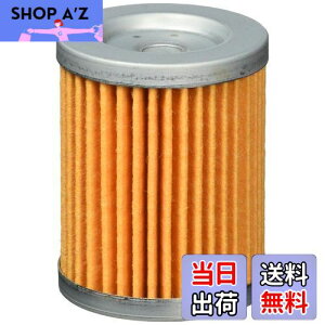 �y���������z�L�^�R (KITACO) �I�C���t�B���^�[�G�������g K-PIT S-05 �X�J�C�E�F�C�u250 �o���o��200 �}�O�U�� �O�����h�}�W�F�X�e�B �� 70-390-12050