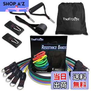 yzTheFitLife g[jO`[u `[u g[jO ؃g`[u (////)