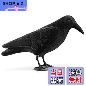 yzNavaris JX u 悯 ރObY - 悯ObY JX悯ObY Nh XY Q΍ - K[fjO C eAG