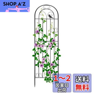 yzRxakudedo ACAtFX | tFX K[ftFX nC^Cv 180cm [YtFX Apx tFX