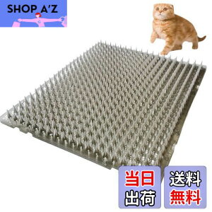 yzONESORA L悯V[g L悯Ƃ}bg  y8z Op LN tQh~