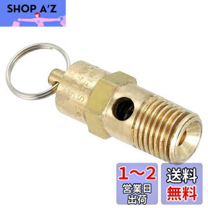 yzPATIKIL 1/4IXNPT S 1 ͊J GA[Xou GARvbT[p 135 PSI ݒ舳
