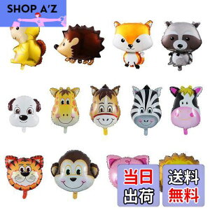 yzKesote D o[  A~ 13Zbg  CI a o[Xf[ Rt