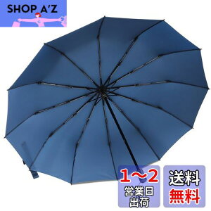 yz܂肽ݎP ZruieryTCYE12{z ܂ݎP y Y fB[X 傫 12{ xOXt@Co[ ϕ 蓮J 肽ݎP 䕗Ή JΉ 