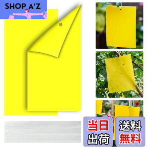 yBEAUTY PLAYERz SV[g ߒV[g hV[g QߊlS Aؔ  gbv 悯v[g XeBbL[ Sgbv tCO XeBbL[ Lb`[ n