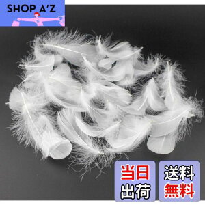 yzKingsie VR H 100Zbg tFU[V[ HV[ |f  EGfBO o (zCg)