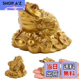 yzKingsie Or^ O{r̊^ K^  Or JG   J^ ^ ^ ɐ ObY CeA 蕨