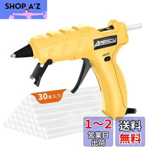 yzAnesty O[K 90b }M 50W  zr[pO[K Ȃ 茳ONEOFFo  ^ y | Ԃ̐ڒ DIY XebN30{t