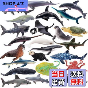 yzTOYMANY 24PCSCmtBMA C̐tBMAZbg ~jtBMA ~jCmf Aȓ͌^ Cm lC ߋ av[g NX}