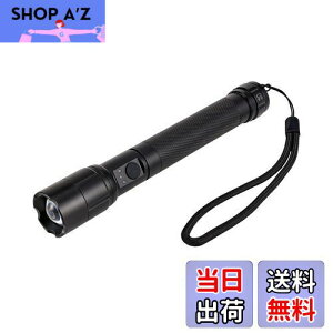 【送料無料】エルパ(ELPA) LED懐中電灯 防水 明るさ350ルーメン ハンドストラップ付き 電池式 電池残量表示 シルバー DOP-EP530