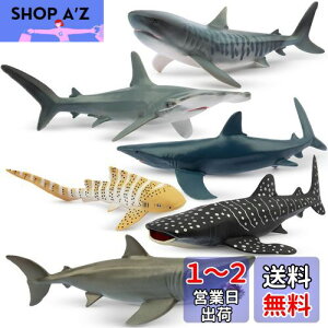yzTOYMANY tBMA 6PCSTtBMA CmtBMAZbg 12cm`14cm   C̐ Aȓ͌^ TD lC  ߋ av[g N