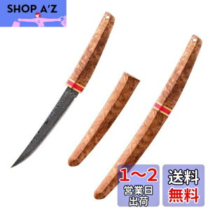 yzIrai Utaki LviCt ToCoiCtyVmz9cm _}XJX| ؏t 芴悭 V[XiCt tBbVO Lv ނ AEghA