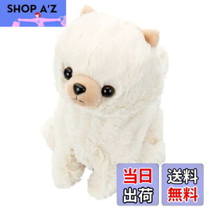 yzZKgCY(SEGA TOYS) RR Premium |jA