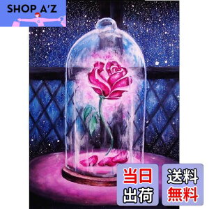 yzAmyaker _ChA[g Lbg lpr[Y S _CAhr[YGLbg DIY G |Lbg UCNA[g 5D UCNA[g _Chh Sʓ\t