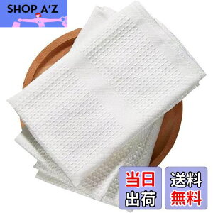 yzFOXNOV ӂ Hp z Lb`NX t OX@ i45×37cmj}CNt@Co[NX zegp Ɩp j v[g (OZbg)