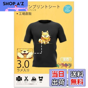 yzTransOurDream ^̓]ʃV[g LLACvgV[g FtbV A4 5 zpLLV[]ʎ EZFnp vgV[g ACvgp TVc