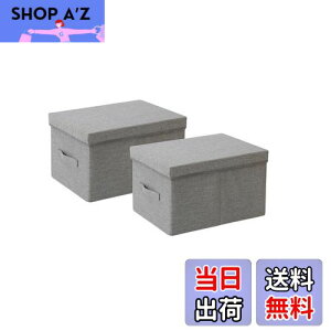 【送料無料】TIANZONG蓋付き収納ボックス 収納ケース 大容量 衣装ケース 衣類収納 折り畳み 積み重ね 取っ手付き おしゃれ 布製 (幅35×奥行28×高さ18cm 2個, グレー)