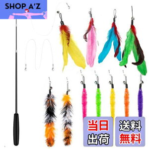 yz14 _Zbg L ColiChili L炵 VR Ĥ pH11 _t pނ莅2 ԂԂ ybgObY ˂pi