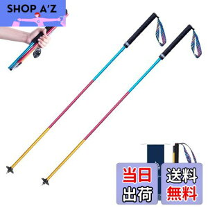 yzTRIWONDER gCjOp|[ 2{Zbg ܂肽ݎ y g|[ gbLO|[ oRXgbN EH[LO|[ mfBbNEH[LO (J