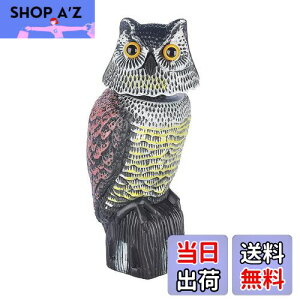 yz悯tNEAtNE̒uԎ蓮phwbhA 悯 Q΍ ӂ낤 JX悯 U ɗh360x x_ ̑lY~Ȃǂ̏
