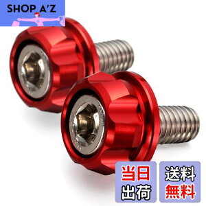 yzfCgi(Daytona) PREMIUM ZONE(v~A][) oCNp io[v[g {g M6×15mm z_[Zbg 2 bh 91945