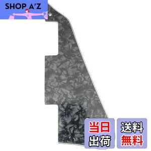 yzMusiclily Pro X|[sbNK[h Mu\USA LP _GLM^[pA4PubNp[