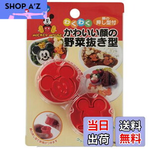 yzXP[^[(Skater) ؔ^ { fBYj[ ~bL[}EX LKVN1-A