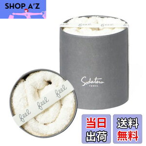 yzĂ^I feel tFCX^I 34×85cm 100 {bNX (~Xg(n))