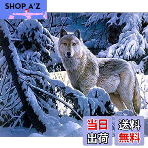 【送料無料】DIYクロスステッチキットダイヤモンド絵画5D塗装キット、冬の雪狼WOWDECORフルドリルDIYダイヤモンドアートペイント数字油絵 (狼)