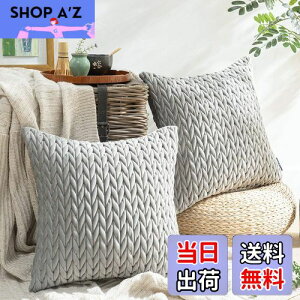 yzPhantoscope NbVJo[ xxbgv[c k 2  e͐ LeBO \t@w   n2WAY O[ 45×45cm