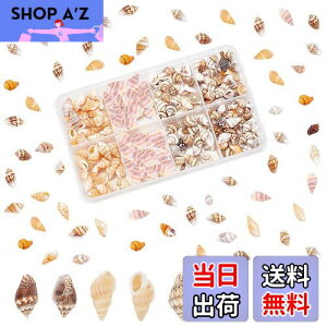 yzPH PandaHall 260 VF Lk Zbg L ~bNX r[`VF fRf r[` ANZT[p[c |pi f   p[eB[  C̓ Ă̑