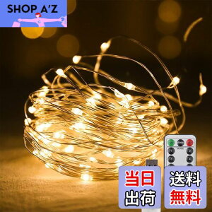 【送料無料】CCINEE LEDイルミネーションライト ジュエリーライト 100球 10m USB式 リモコン付 8モード 点滅 点灯 タイマー機能 防水 防塵仕様 屋外 室内 ガーデンライト 正月 クリスマス 結婚式