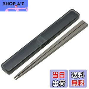 【送料無料】スケーター(Skater) 箸 21cm 箸箱 セット 抗菌 チャコールグレー 大人用 男性向け ABC45AG-A