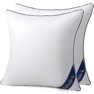 yzBelinna NbVg 45x45cm*2ĩTCYj ׂȂ Zbg cushion w \t@[NbV k[hNbV ې􂢉\ 
