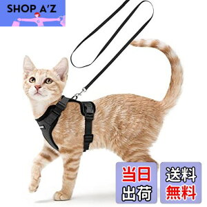 yzRabbitgoo L n[lX [h Zbg ^ Lp Ȃ ́[˂ \tg y グ TCY߉ lR U R 锽 ʋCbV Pݖh~ 