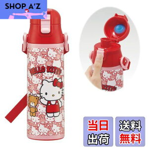 yzXP[^[(Skater) qp XeX   580ml n[LeB 낤 TI qɗDyʃ^Cv ۗp waterbottle X|[c{g 킢LbY q 