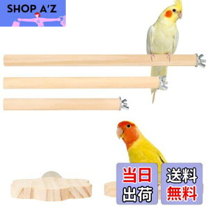 yzIRRVIN 5Zbg p~܂ CR Ƃ܂ X^h CR  p[` CR܂𖁂 ނ xݏꏊ XgX Vѓ P[WX^h tȒP