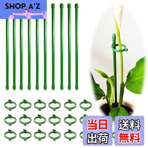 【送料無料】BIUTEFOR 支柱 園芸 植物支柱 観葉植物 支柱 【花支柱*10個/フォルダ*20個】花支え 胡蝶蘭観葉支柱 誘引 支柱 植物サポート 農業用 園芸用品 ガーデニング花支え支柱 【30CM】