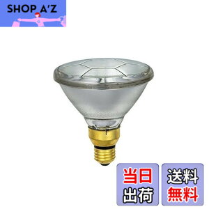 �y���������zELPA �r�[���� 120W E26 �W���^ EBRS110V120W/N