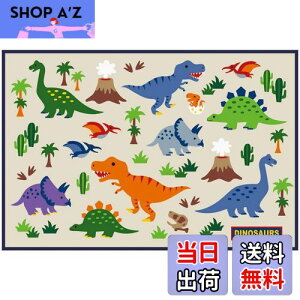 yzXP[^[(Skater) qp W[V[g  STCY 60×90cm fBmTEX VS1-A